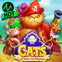 Cats Of The Caribbean™